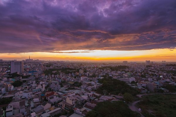 Comment organiser une expédition pour observer les gorilles de montagne au Rwanda?